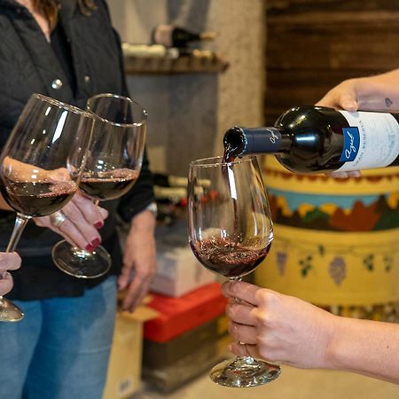 Ayres De Uco Lodge & Wine Lovers Los Arboles Ngoại thất bức ảnh