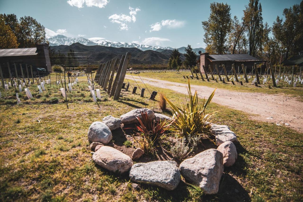 Ayres De Uco Lodge & Wine Lovers Los Arboles Ngoại thất bức ảnh